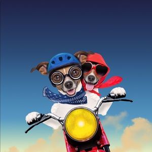 Meet your Posher, Robert